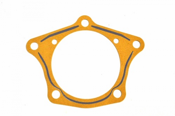 GEARBOX DIFF SIDE PLATE GASKET NEW VERSION